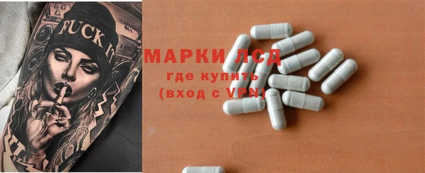индика Алексин