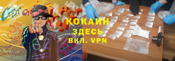 индика Алексин