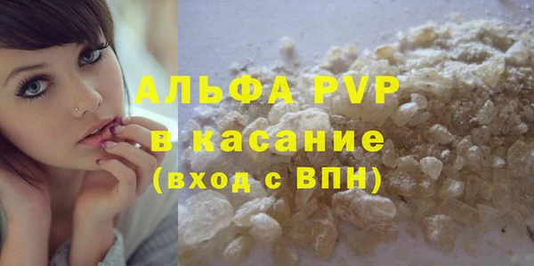 индика Алексин
