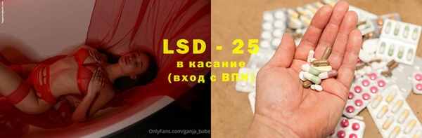 индика Алексин