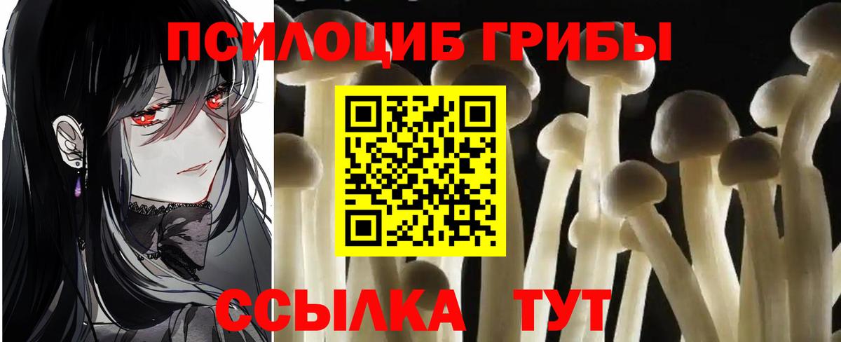 Галлюциногенные грибы ЛСД  Вход с VPN  Киржач 