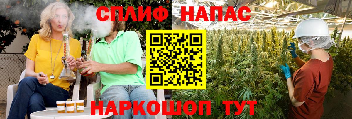 Канабис ГИДРОПОН Киржач